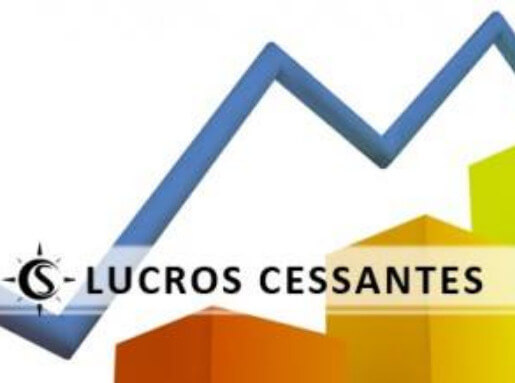 Devedor de lucros cessantes - Danos Diretos e Imediatos Devedor de lucros cessantes - Danos Diretos e Imediatos